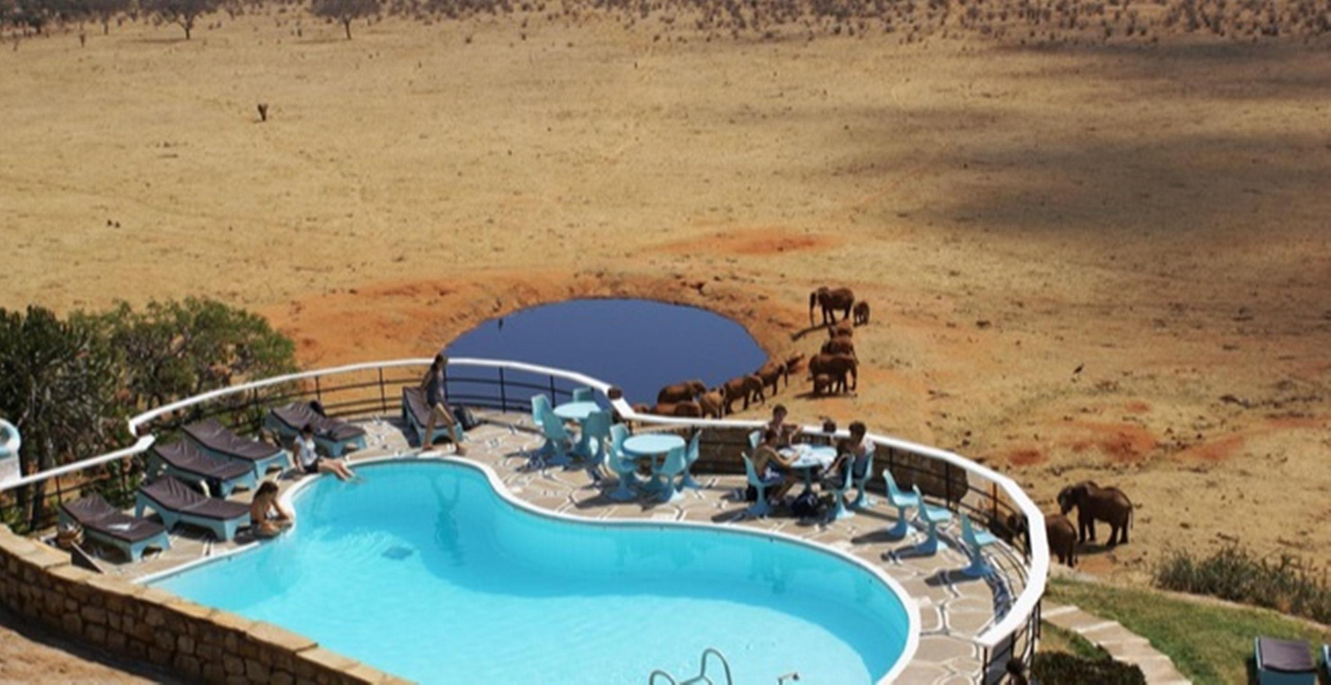 Voi Safari Lodge المظهر الخارجي الصورة